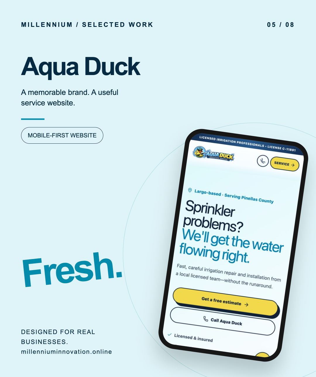 Aqua Duck mobile website preview